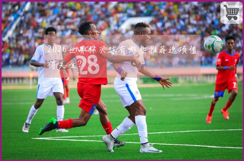 2026世界杯买球有哪些推荐选项值得关注？
