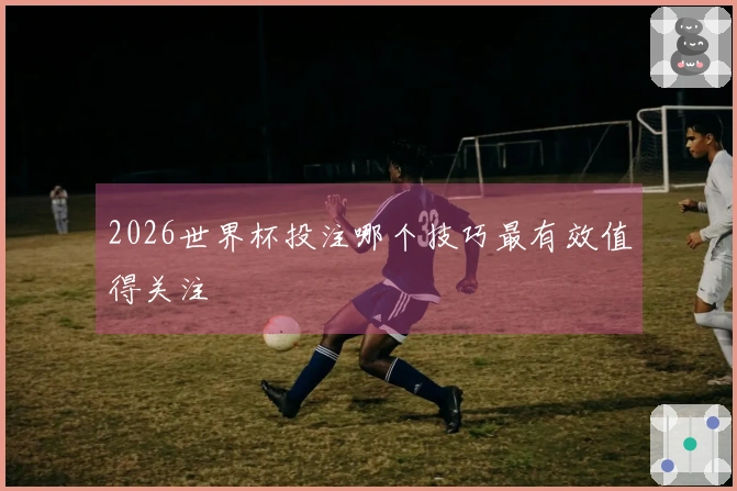 2026世界杯投注哪个技巧最有效值得关注