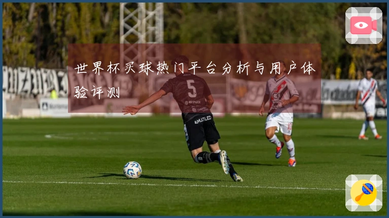 世界杯买球热门平台分析与用户体验评测
