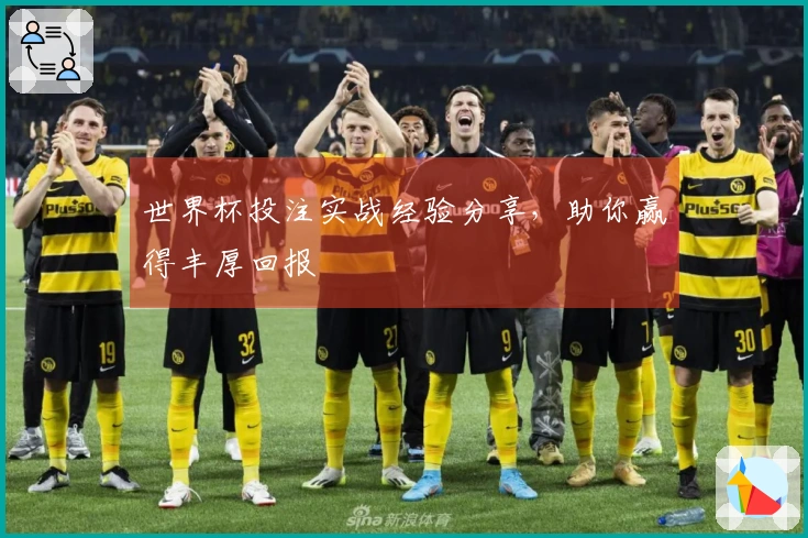 世界杯投注实战经验分享，助你赢得丰厚回报