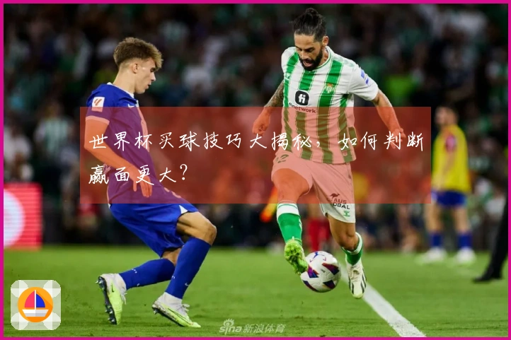 世界杯买球技巧大揭秘，如何判断赢面更大？