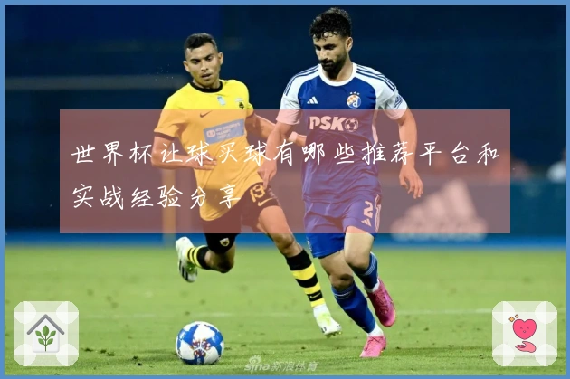 世界杯让球买球有哪些推荐平台和实战经验分享