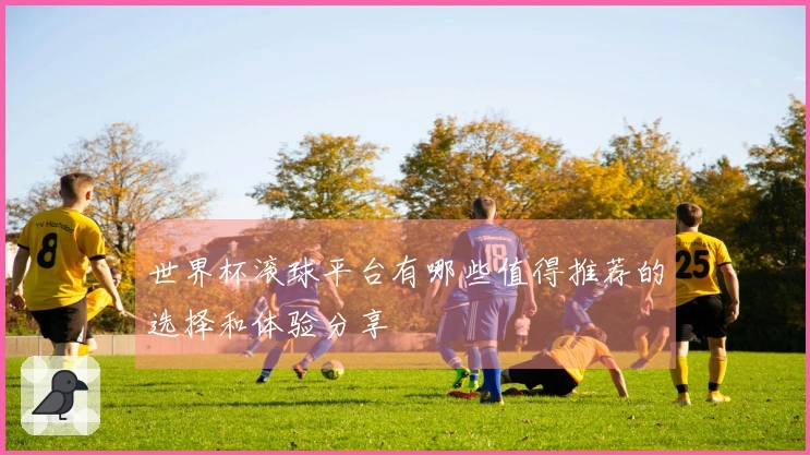 世界杯滚球平台有哪些值得推荐的选择和体验分享