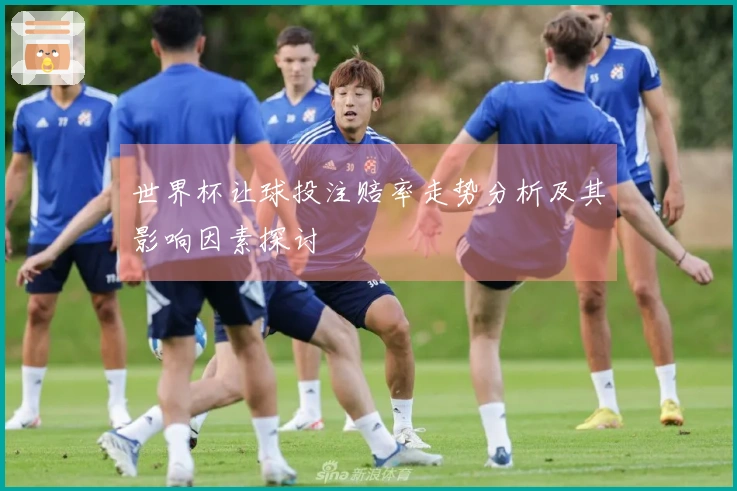 世界杯让球投注赔率走势分析及其影响因素探讨